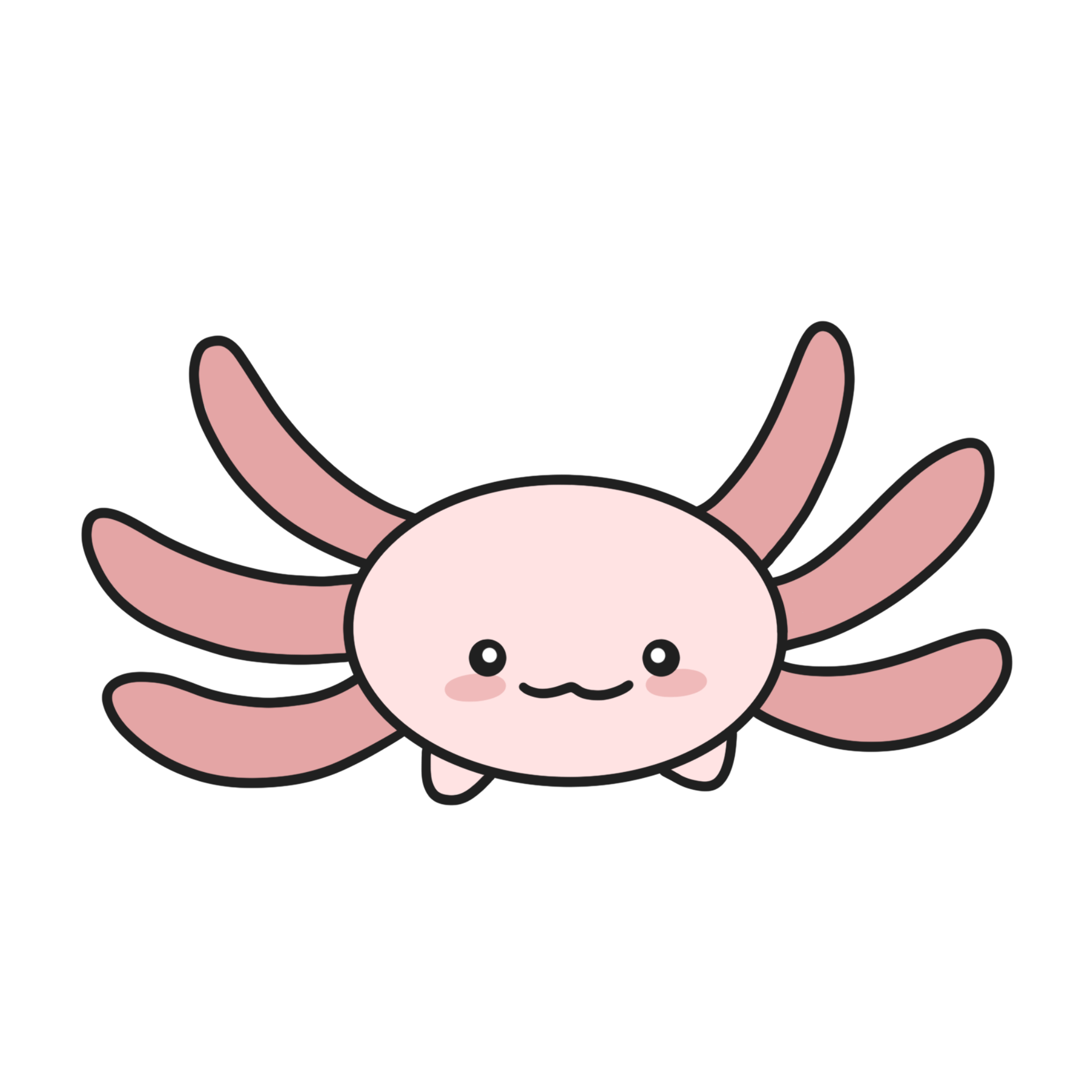 illustration of an axolotl